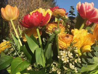 Auch jetzt ist die Sehakademie für Sie da!