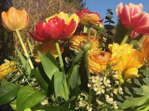 Auch jetzt ist die Sehakademie für Sie da!