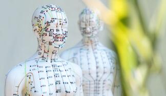 MERIDIANE - AUGENAKUPUNKTUR